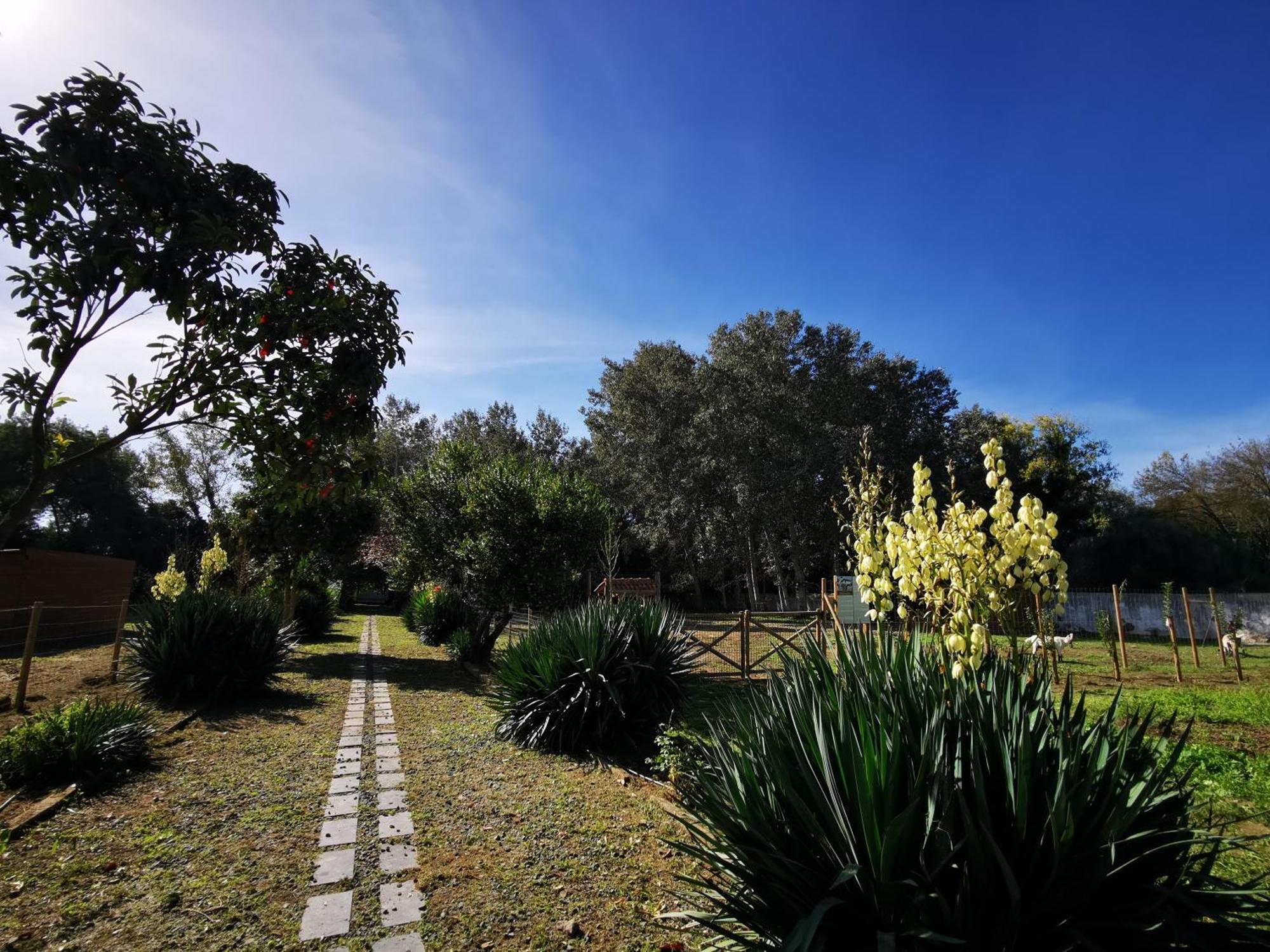 Вілла Quinta Do Louredo - Евора Екстер'єр фото